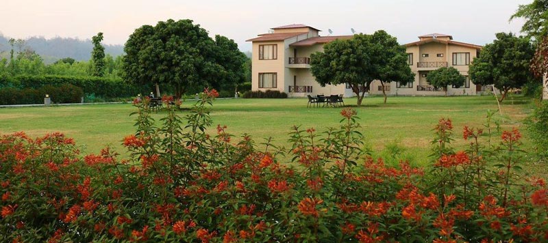 Jim Corbett: The Best Place to Take Pre-Wedding Photoshoot