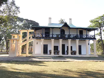 A tiger in the river 